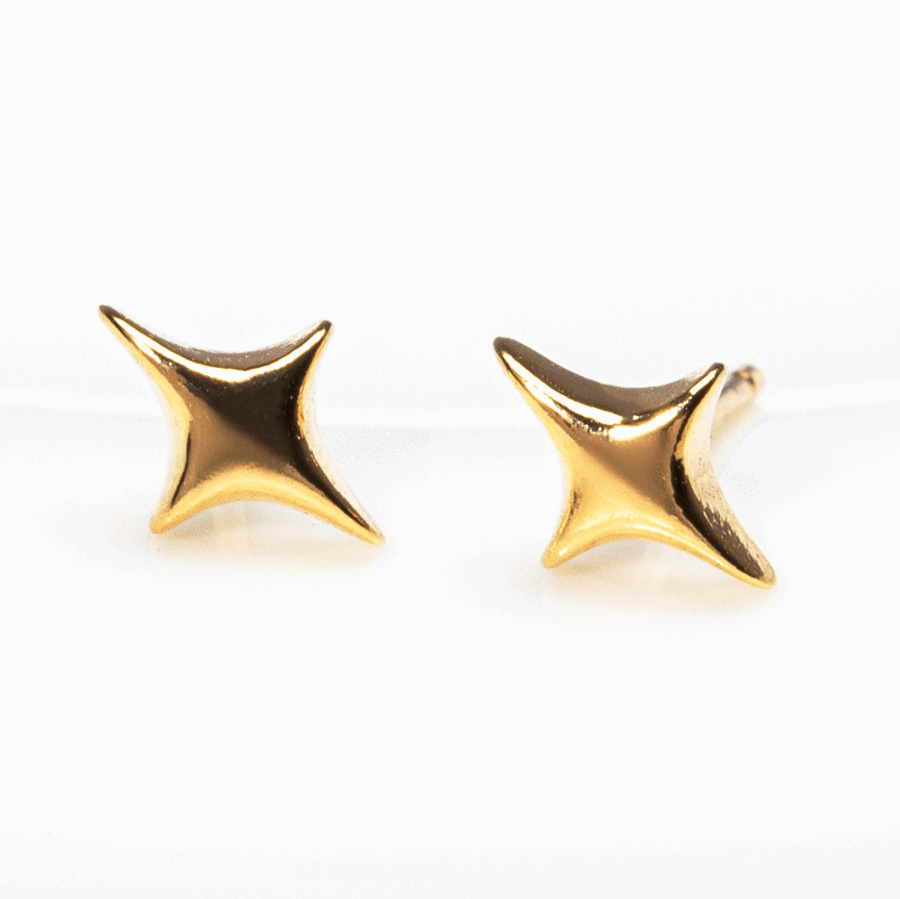 925 Silver Starlight Earrings